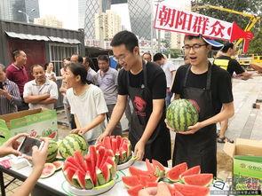 北京朝阳吃瓜,瓜界风云录，一网打尽美食盛宴
